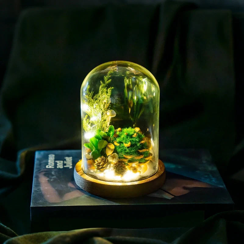 Lampe de nuit fleurs éternelles sous cloche