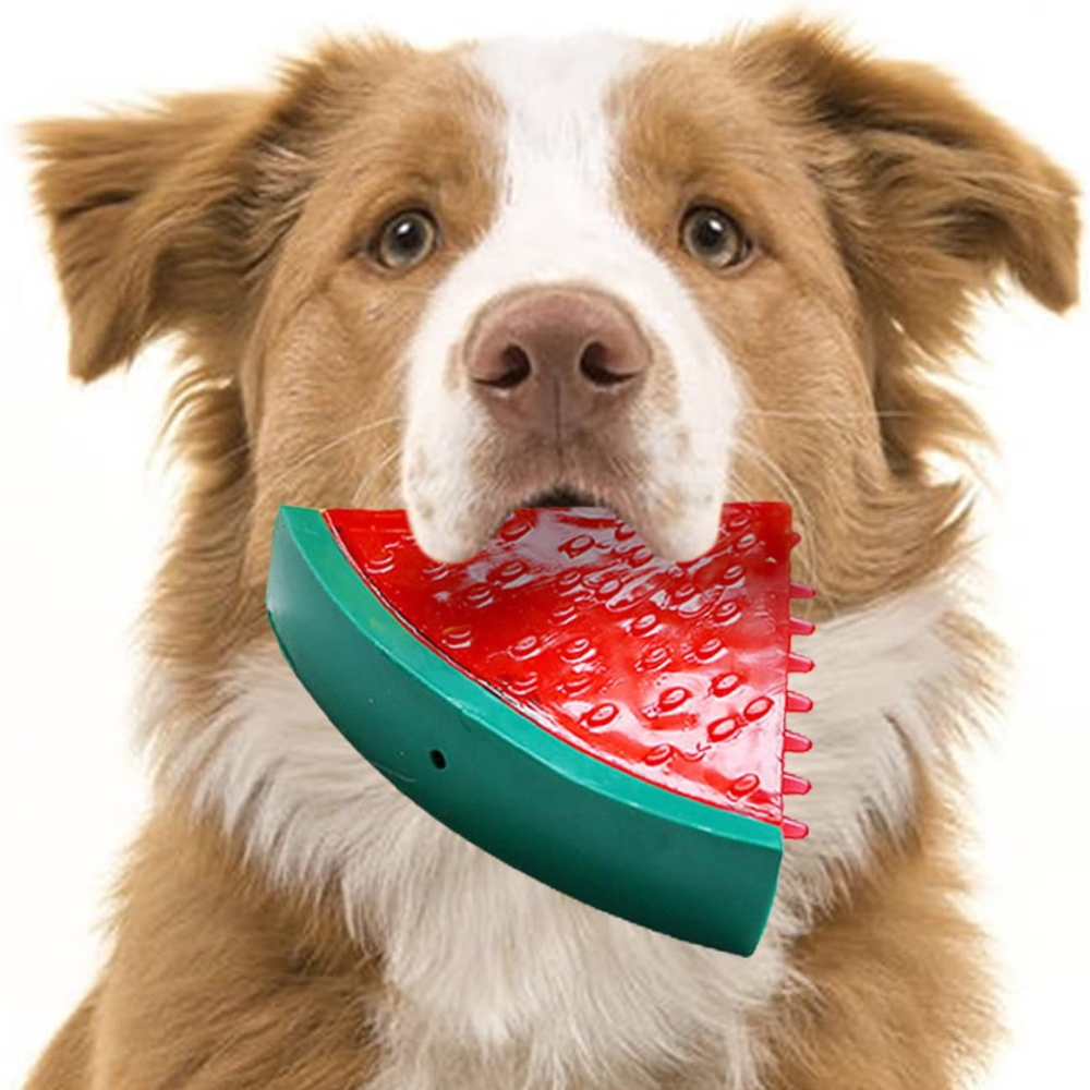 Jouet à mâcher rafraîchissant pour chien
