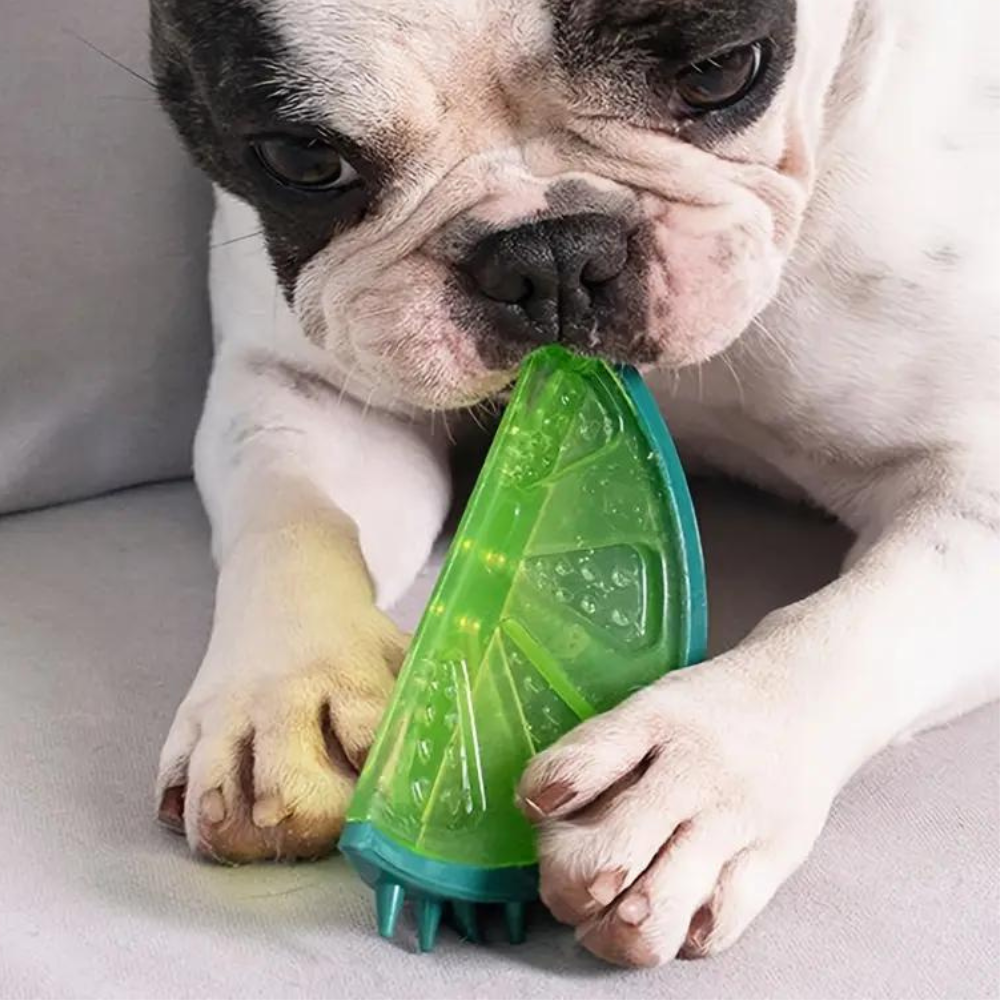 Jouet à mâcher rafraîchissant pour chien