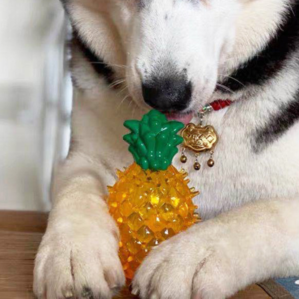 Jouet à mâcher rafraîchissant pour chien