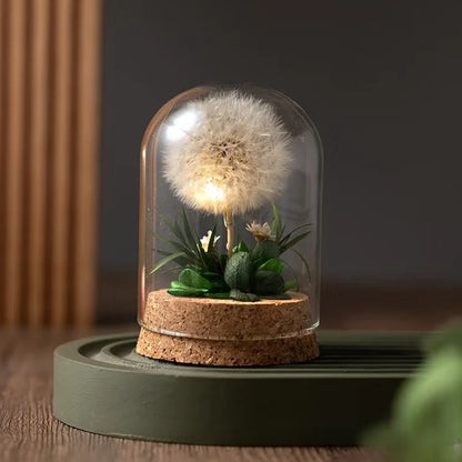 Lampe de nuit fleurs éternelles sous cloche