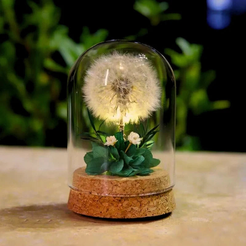 Lampe de nuit fleurs éternelles sous cloche