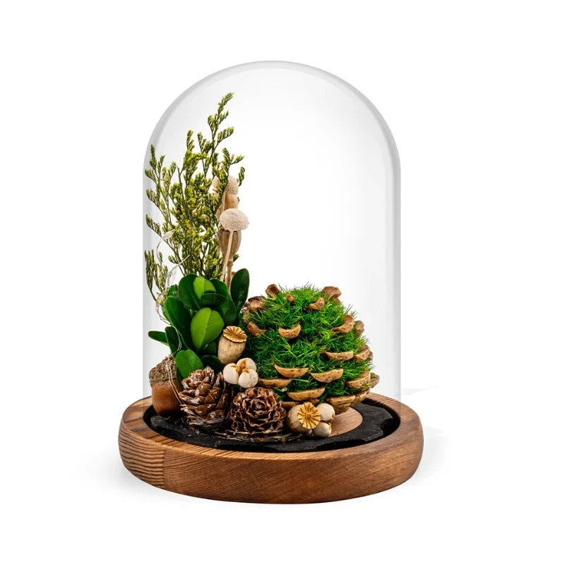Lampe de nuit fleurs éternelles sous cloche