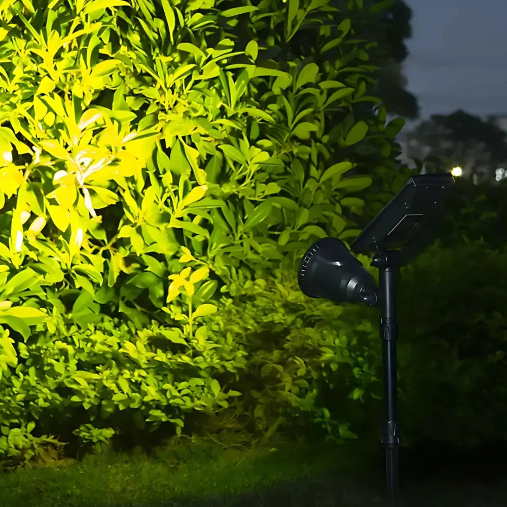 Projecteur solaire de jardin