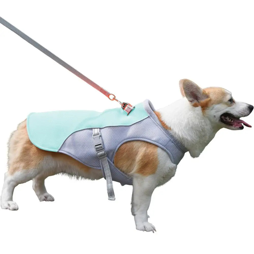 Gilet rafraîchissant pour chien en plein air