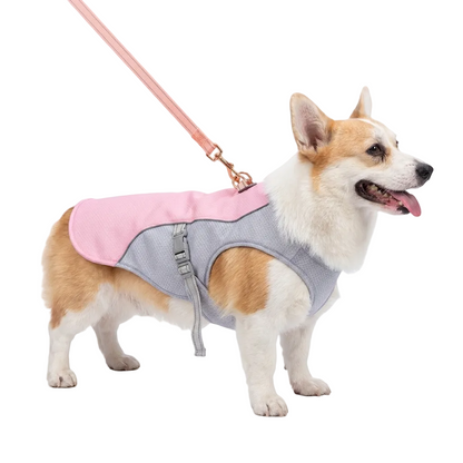 Gilet rafraîchissant pour chien en plein air