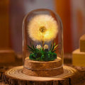 Lampe de nuit fleurs éternelles sous cloche