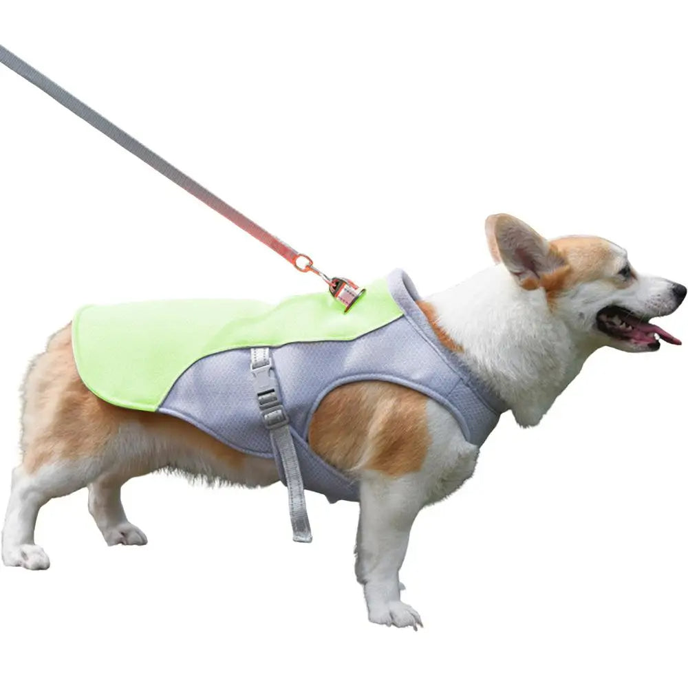 Gilet rafraîchissant pour chien en plein air