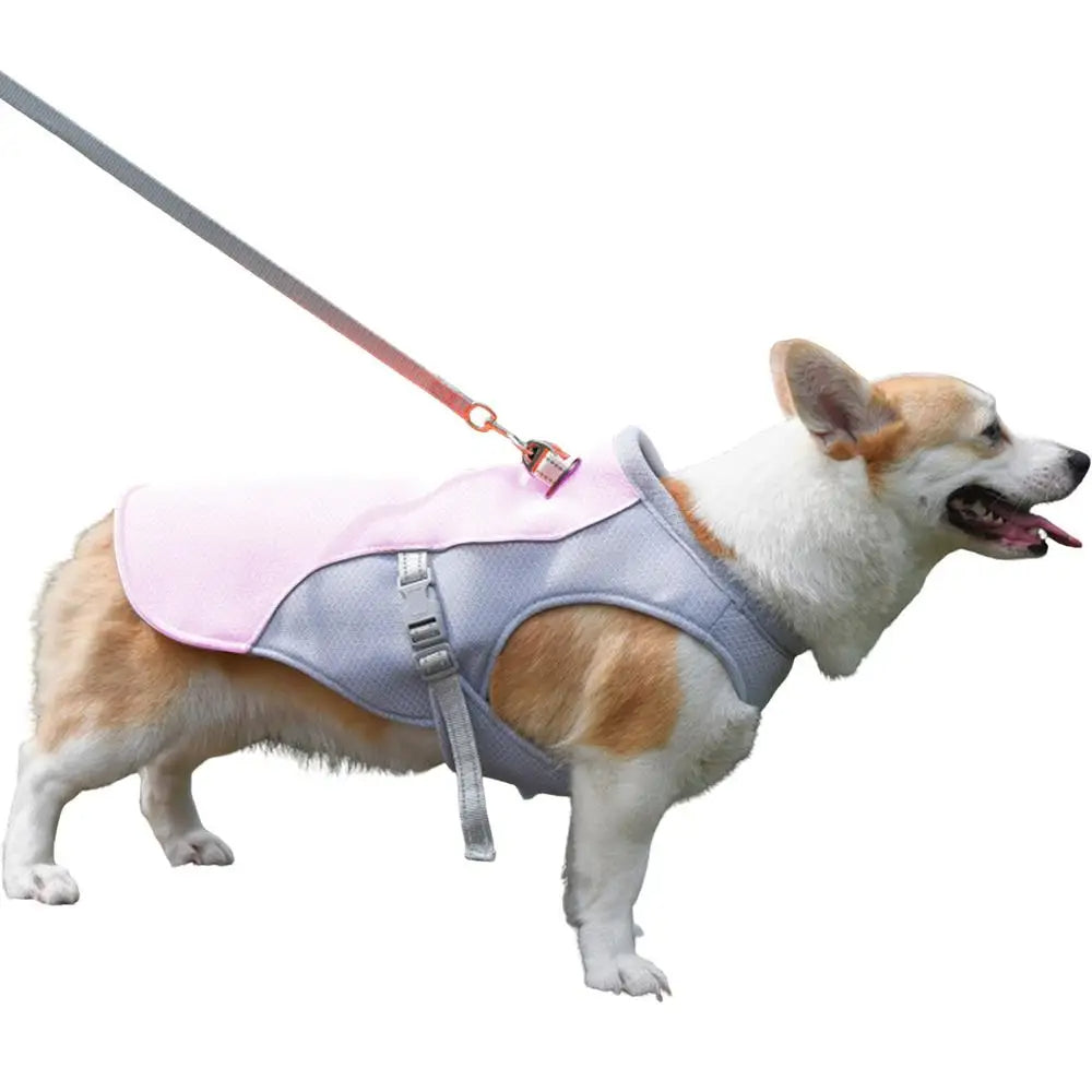 Gilet rafraîchissant pour chien en plein air