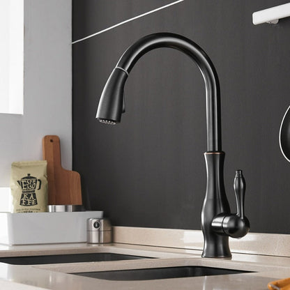 Robinet de Cuisine Extensible