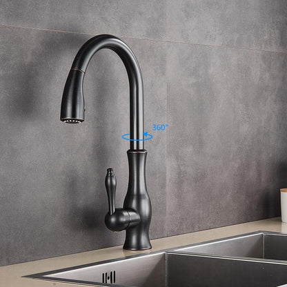 Robinet de Cuisine Extensible