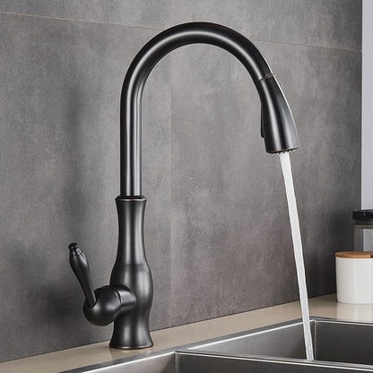 Robinet de Cuisine Extensible