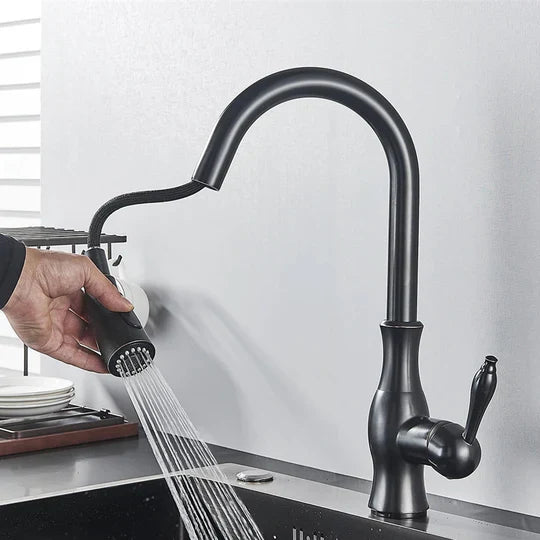 Robinet de Cuisine Extensible