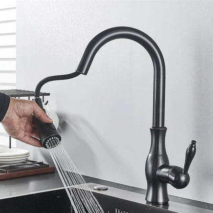 Robinet de Cuisine Extensible
