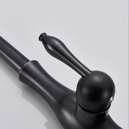 Robinet de Cuisine Extensible