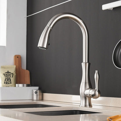 Robinet de Cuisine Extensible