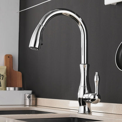 Robinet de Cuisine Extensible