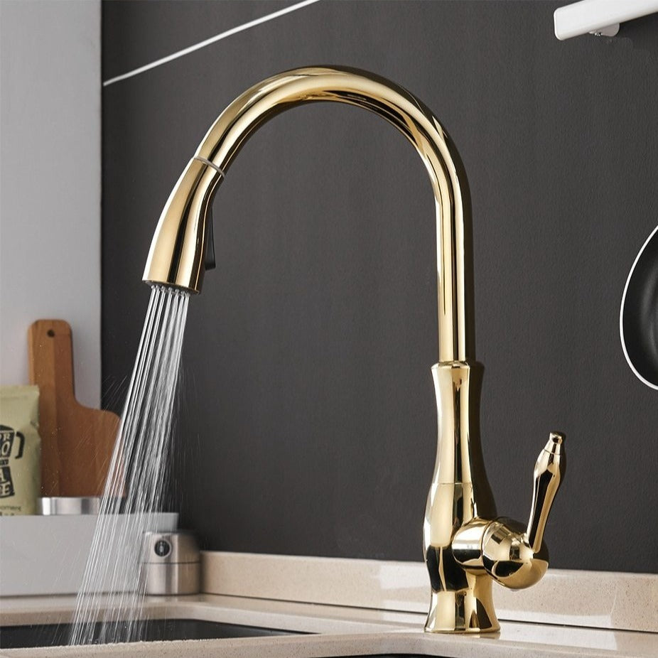 Robinet de Cuisine Extensible