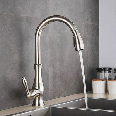 Robinet de Cuisine Extensible