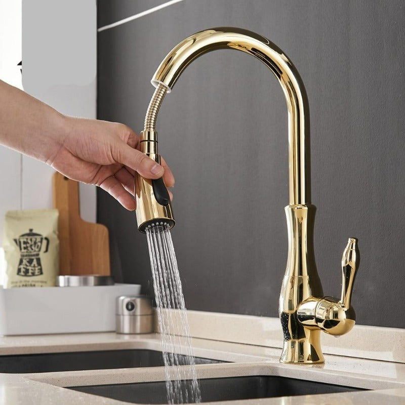 Robinet de Cuisine Extensible