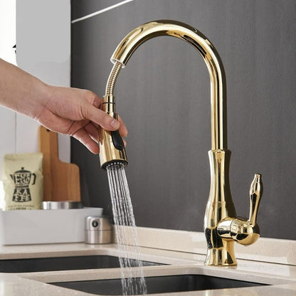 Robinet de Cuisine Extensible